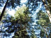 Immagine sofia 012.jpg